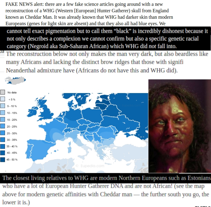 See the Cheddar man fiasco portraying early-Neolithic Europeans as negroid